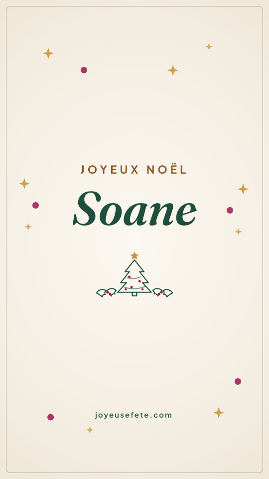 Image « Joyeux Noël Soane » au format story