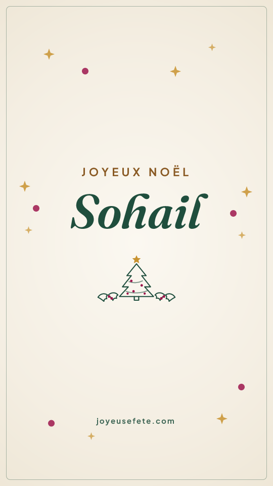 Image « Joyeux Noël Sohail » au format story