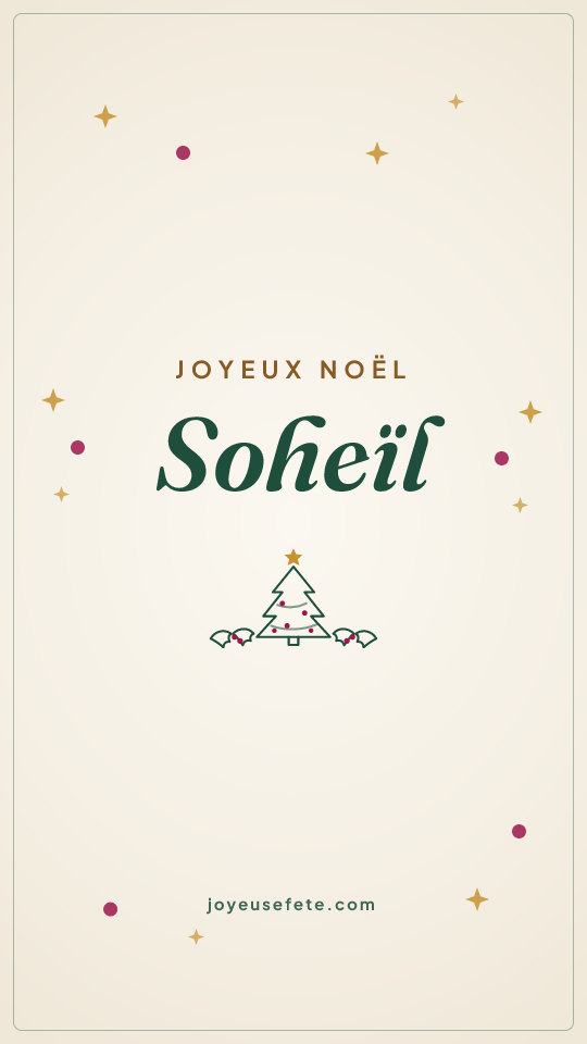Image « Joyeux Noël Soheïl » au format story