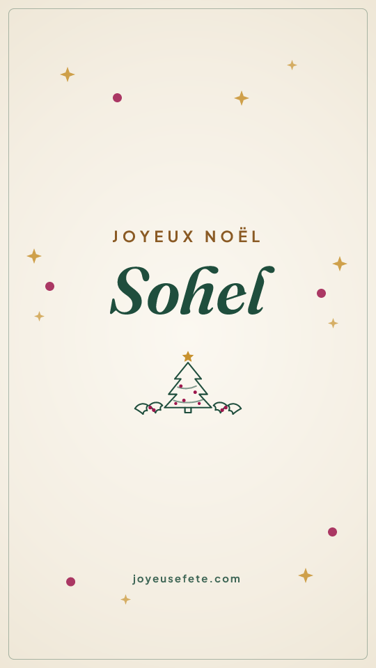 Image « Joyeux Noël Sohel » au format story