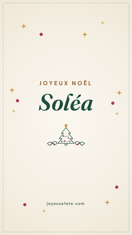 Image « Joyeux Noël Soléa » au format story