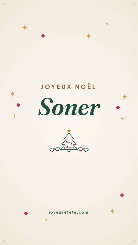 Image « Joyeux Noël Soner » au format story