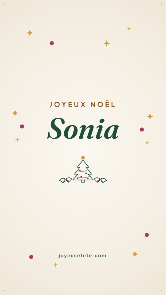 Image « Joyeux Noël Sonia » au format story