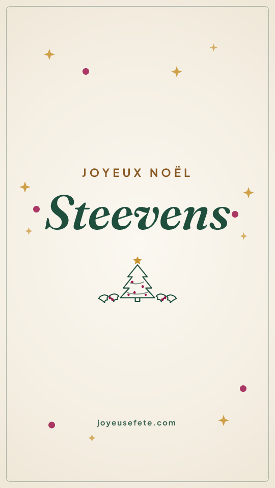 Image « Joyeux Noël Steevens » au format story