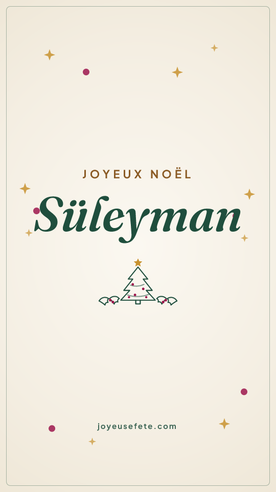Image « Joyeux Noël Süleyman » au format story