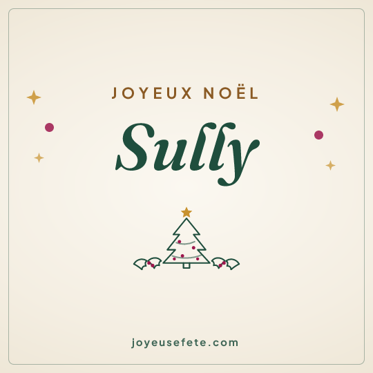 Image carrée « Joyeux Noël Sully » pour WhatsApp