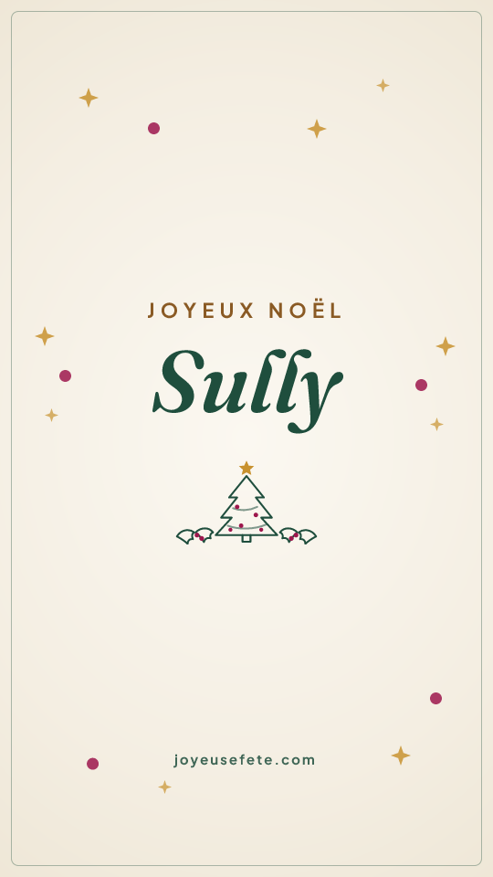 Image « Joyeux Noël Sully » au format story