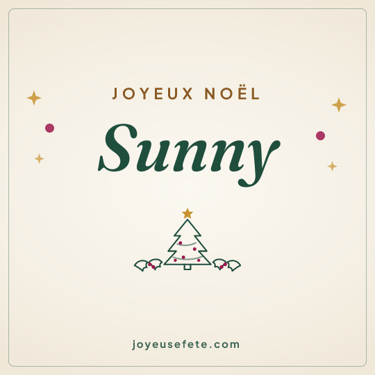 Image carrée « Joyeux Noël Sunny » pour WhatsApp
