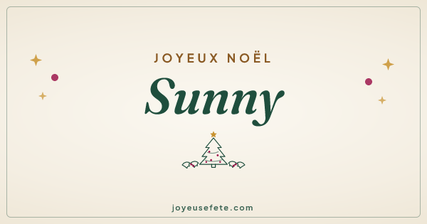Image « Joyeux Noël Sunny » au format large