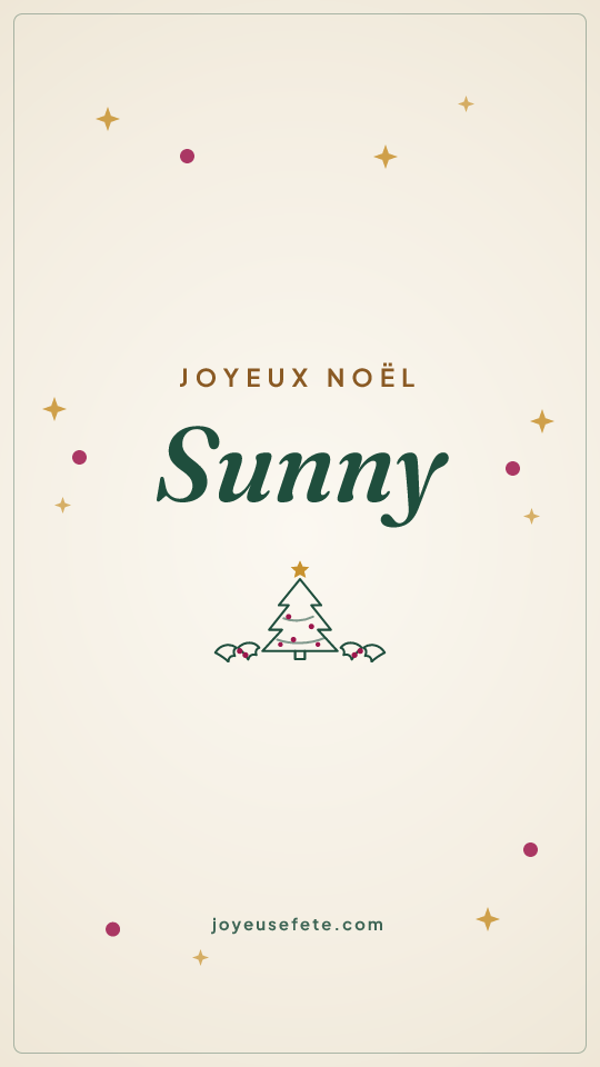 Image « Joyeux Noël Sunny » au format story