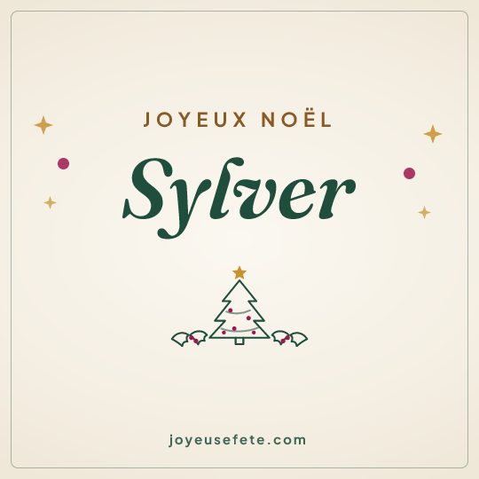 Image carrée « Joyeux Noël Sylver » pour WhatsApp