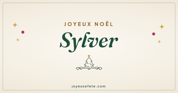 Image « Joyeux Noël Sylver » au format large