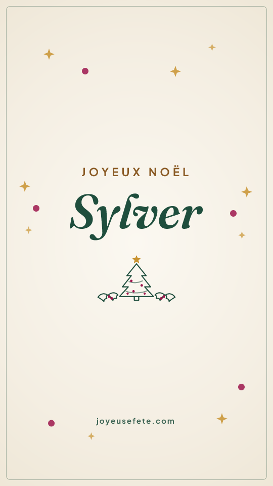 Image « Joyeux Noël Sylver » au format story