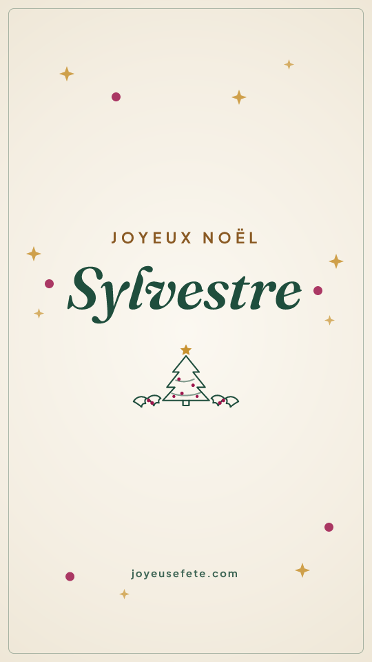 Image « Joyeux Noël Sylvestre » au format story