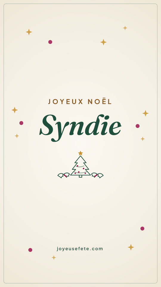 Image « Joyeux Noël Syndie » au format story