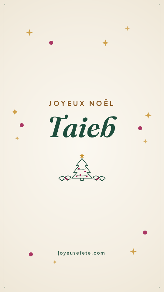 Image « Joyeux Noël Taieb » au format story