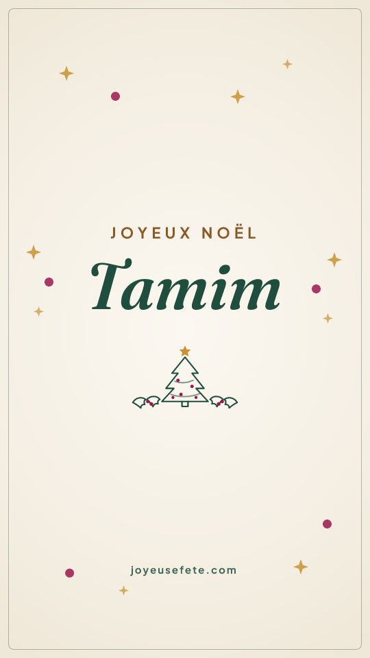 Image « Joyeux Noël Tamim » au format story