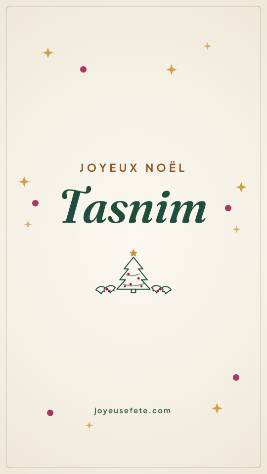 Image « Joyeux Noël Tasnim » au format story