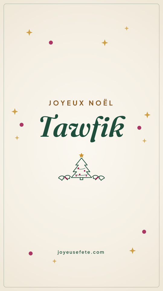 Image « Joyeux Noël Tawfik » au format story