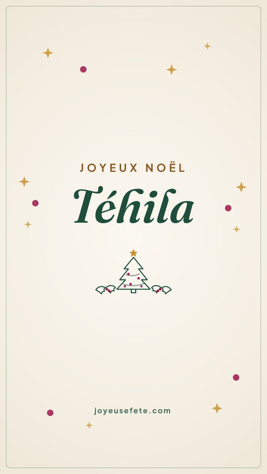 Image « Joyeux Noël Téhila » au format story