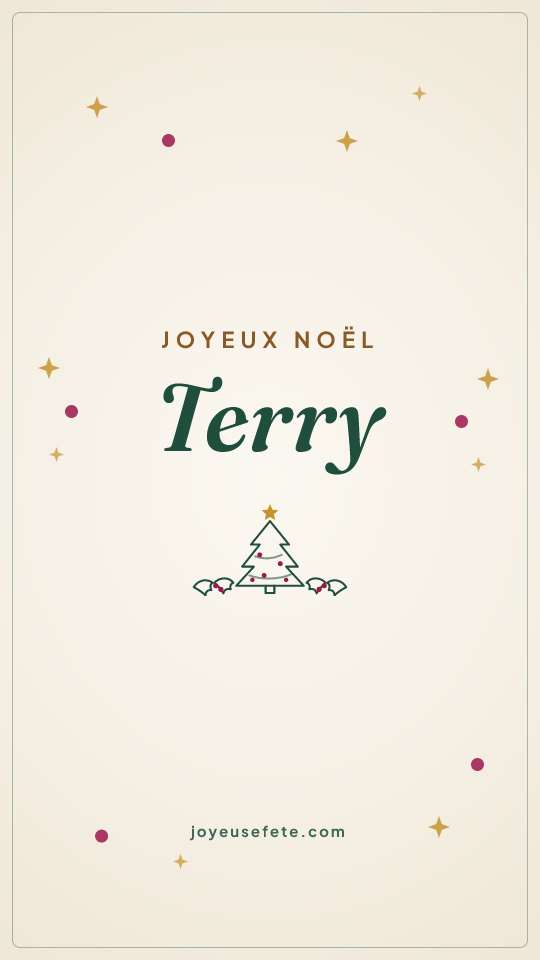Image « Joyeux Noël Terry » au format story