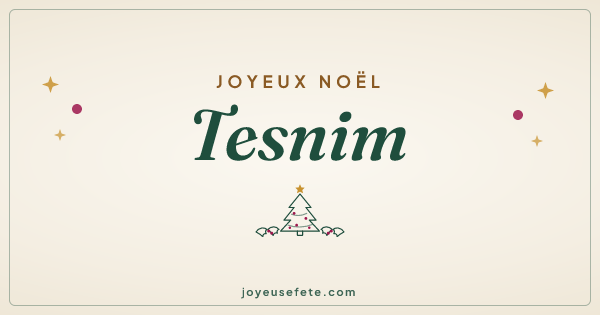 Image « Joyeux Noël Tesnim » au format large