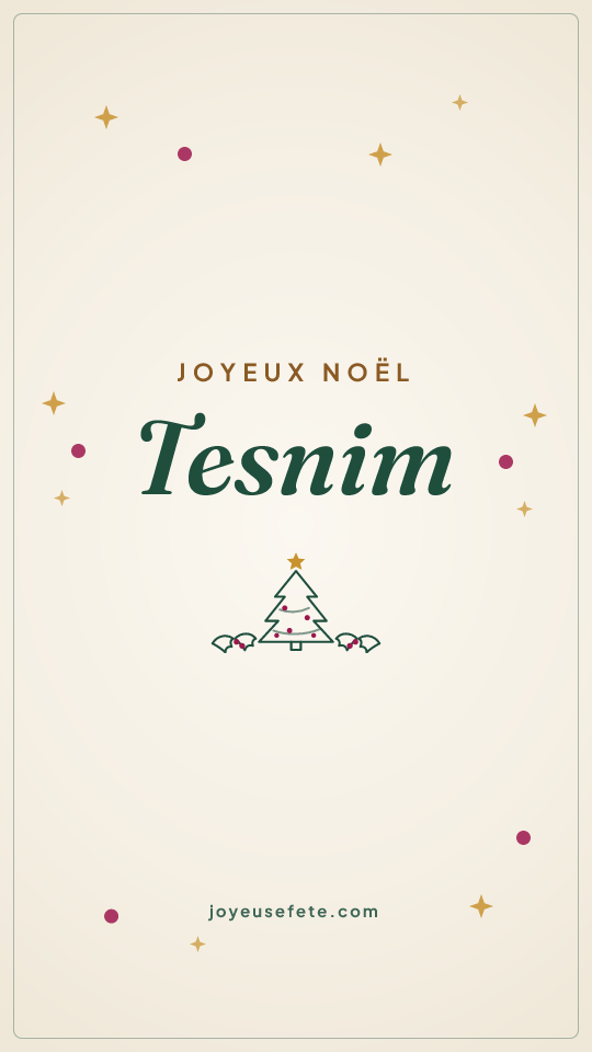 Image « Joyeux Noël Tesnim » au format story