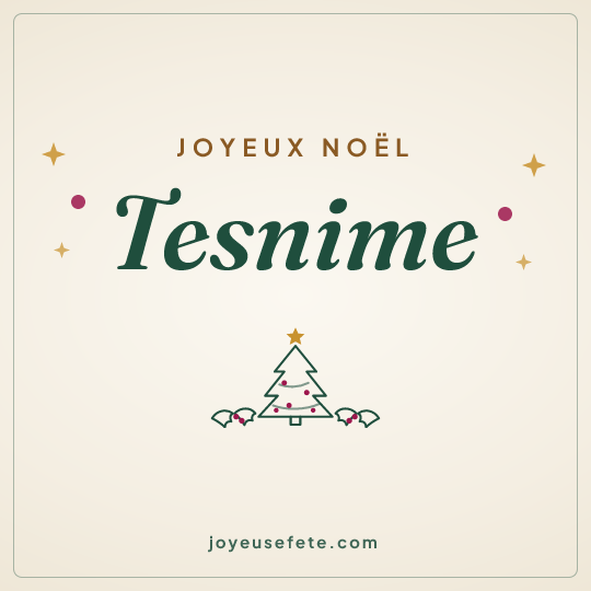 Image carrée « Joyeux Noël Tesnime » pour WhatsApp