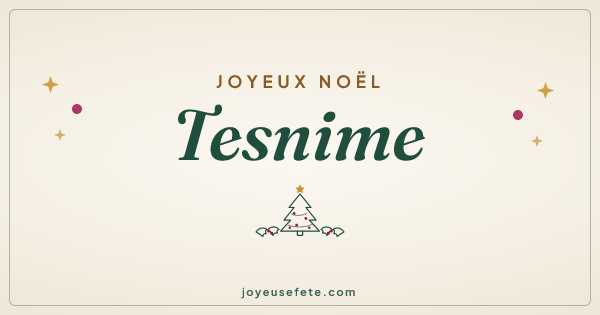 Image « Joyeux Noël Tesnime » au format large