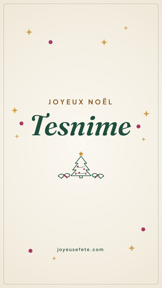 Image « Joyeux Noël Tesnime » au format story