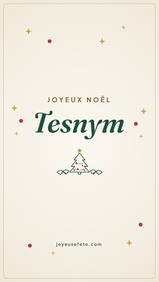 Image « Joyeux Noël Tesnym » au format story
