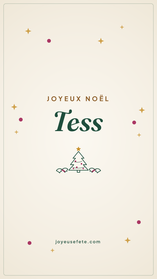 Image « Joyeux Noël Tess » au format story
