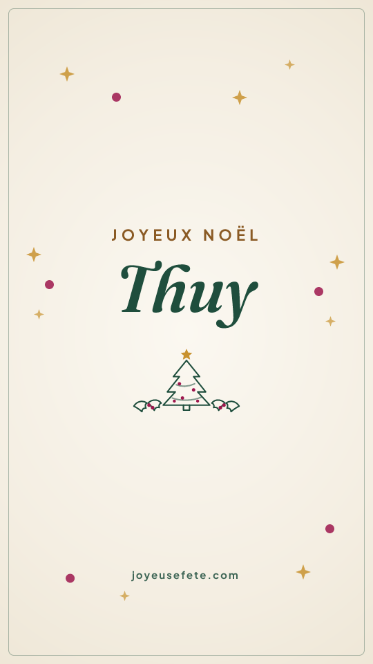 Image « Joyeux Noël Thuy » au format story