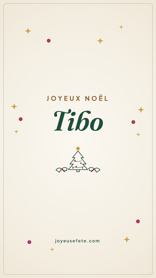 Image « Joyeux Noël Tibo » au format story