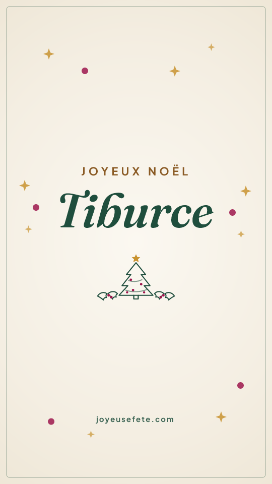 Image « Joyeux Noël Tiburce » au format story