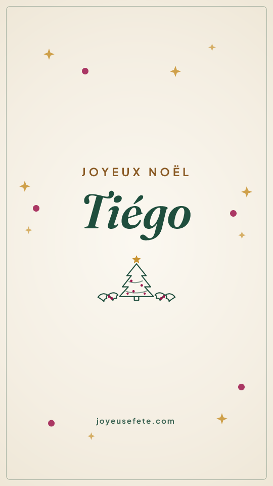 Image « Joyeux Noël Tiégo » au format story