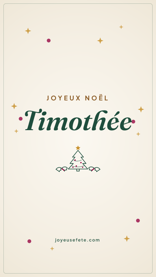 Image « Joyeux Noël Timothée » au format story