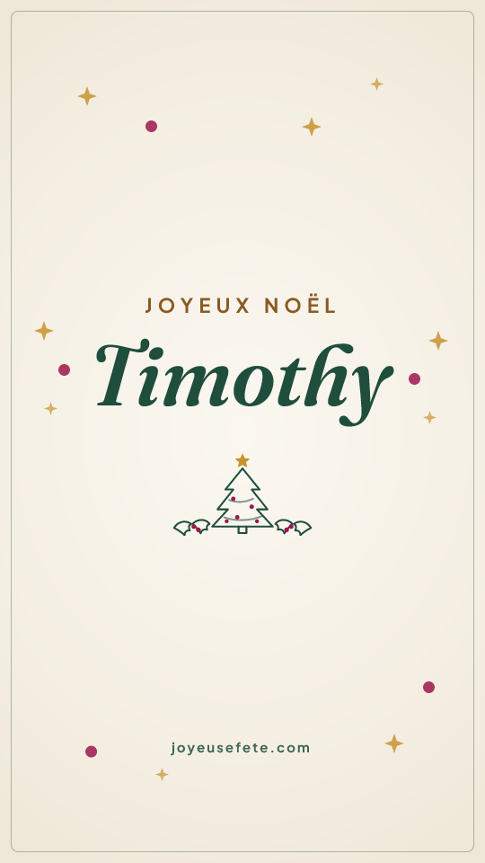 Image « Joyeux Noël Timothy » au format story