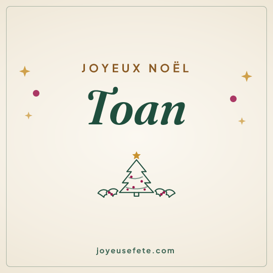 Image carrée « Joyeux Noël Toan » pour WhatsApp