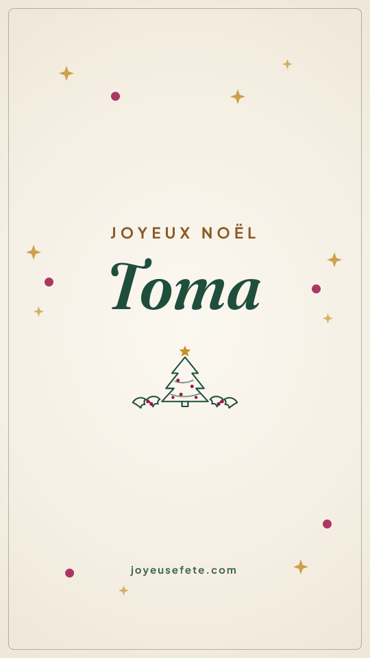 Image « Joyeux Noël Toma » au format story