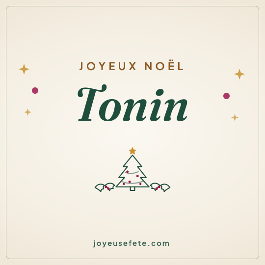 Image carrée « Joyeux Noël Tonin » pour WhatsApp