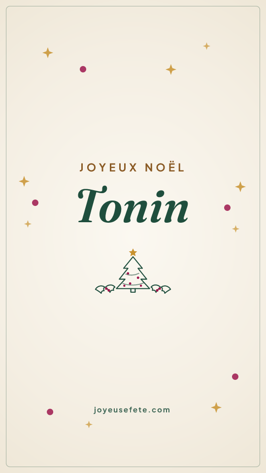 Image « Joyeux Noël Tonin » au format story