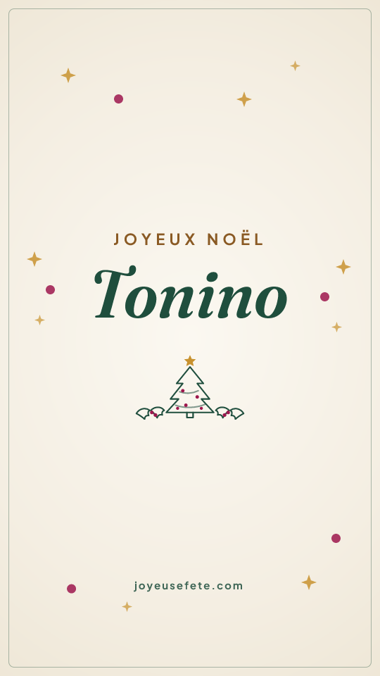 Image « Joyeux Noël Tonino » au format story