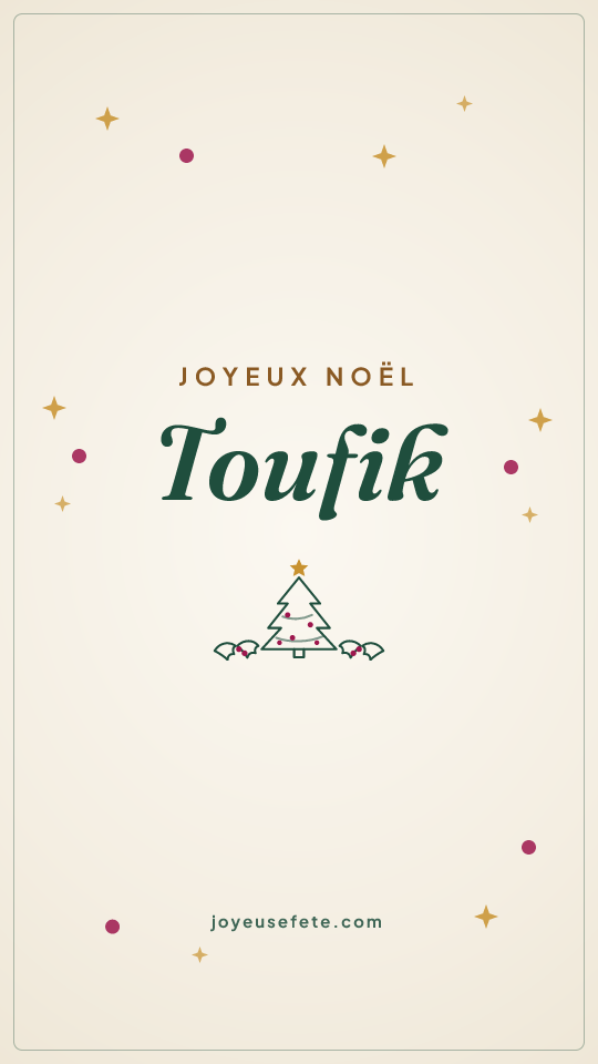 Image « Joyeux Noël Toufik » au format story