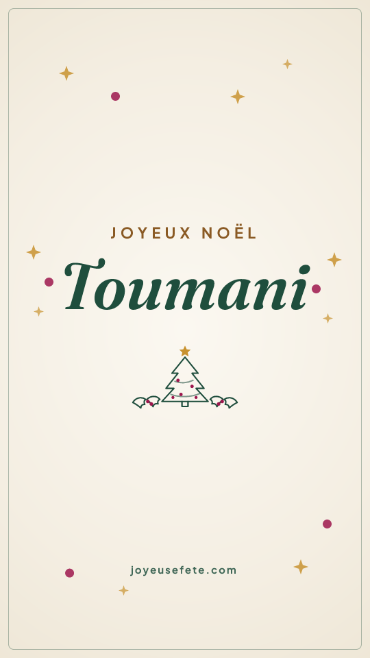 Image « Joyeux Noël Toumani » au format story