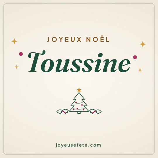 Image carrée « Joyeux Noël Toussine » pour WhatsApp