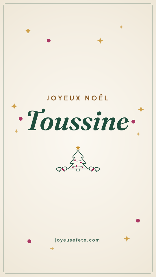 Image « Joyeux Noël Toussine » au format story