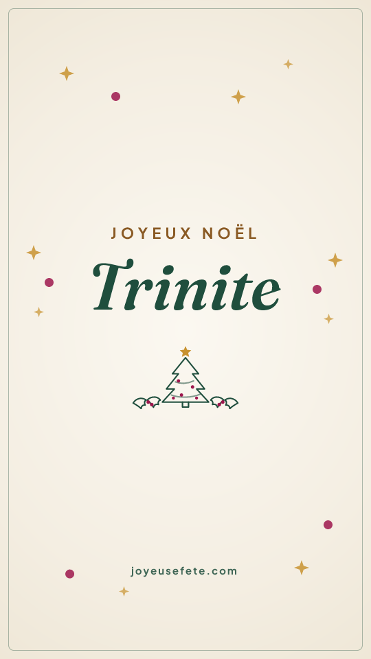 Image « Joyeux Noël Trinite » au format story