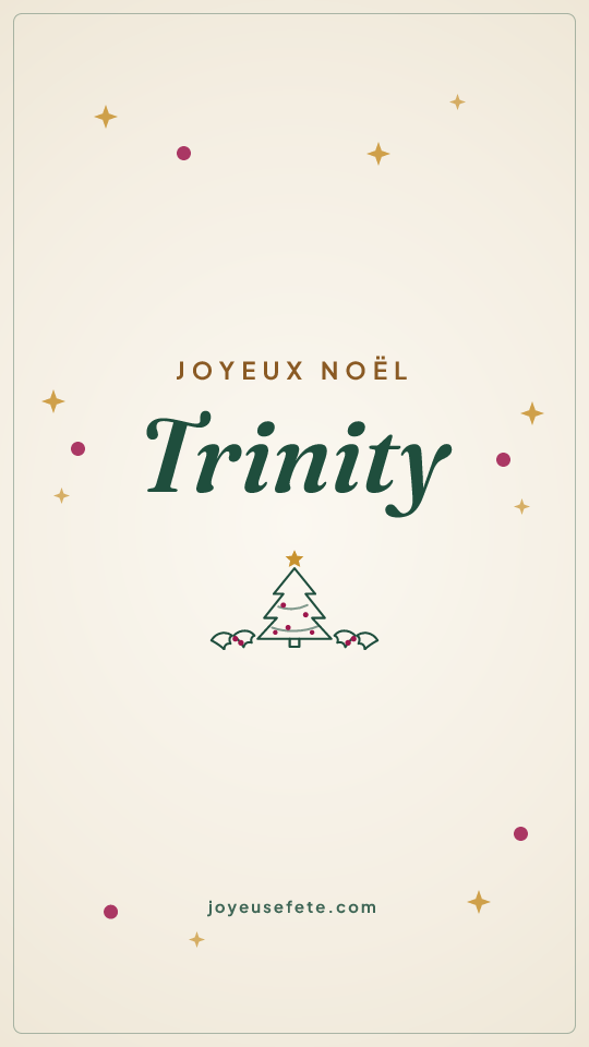 Image « Joyeux Noël Trinity » au format story