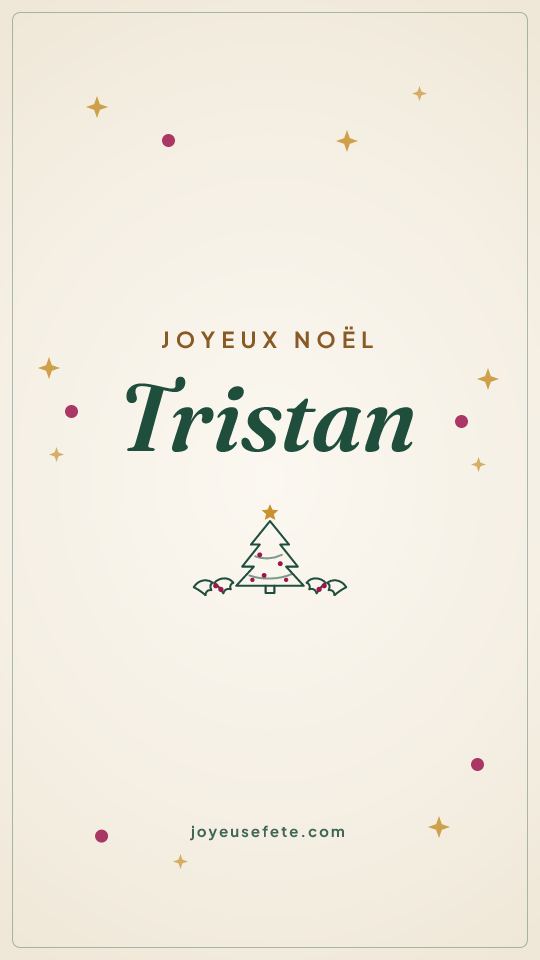 Image « Joyeux Noël Tristan » au format story